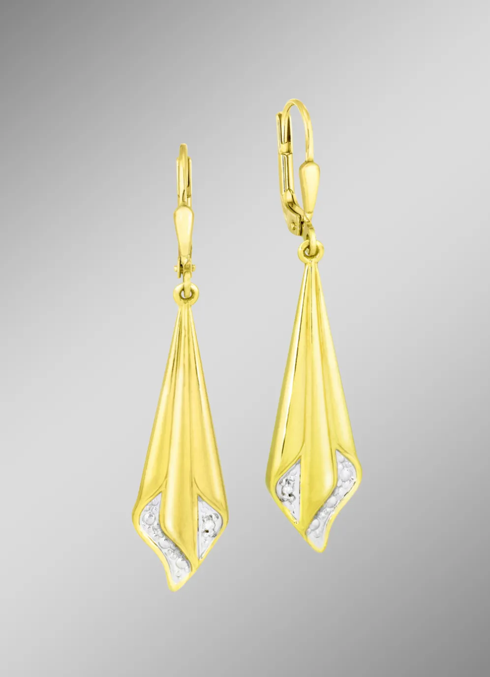 Attraktive Ohrringe in Bicolor