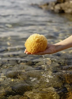 Badeschwamm aus natürlichem Material