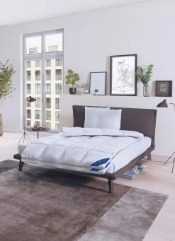 Bettwarenprogramm Königlich Schlafen von Spessarttraum