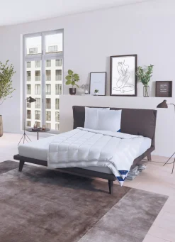 Bettwarenprogramm Königlich Schlafen von Spessarttraum