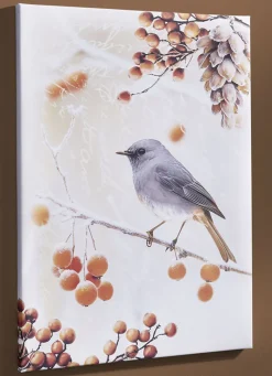 Bild Vogel des Jahres 2025 Hausrotschwanz auf Leinwand