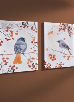 Bild Vogel des Jahres 2025 Hausrotschwanz auf Leinwand