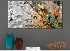 Bild Wassertropfen auf einer Pusteblume