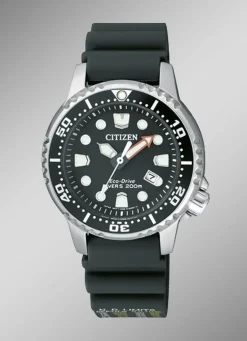 Citizen-Solar-Damenuhr