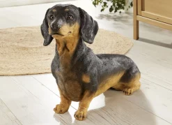 Dackel aus hochwertigem Polyresin