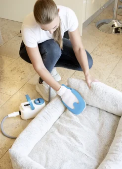 Dampfreiniger Livington SteamTouch