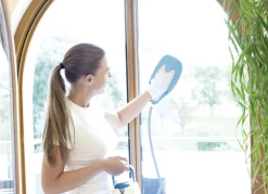 Dampfreiniger Livington SteamTouch