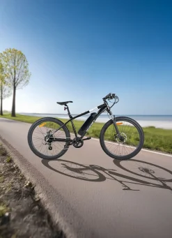 E-Mountainbike von Veccocraft