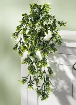 Hängepflanze mit kleinen weißen Büten
