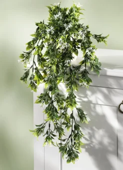 Hängepflanze mit kleinen weißen Büten