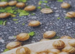 Küchenläufer Gewürze,strapazierfähig