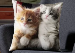 Kissenbezug mit Kätzchen-Motiv in Samtoptik