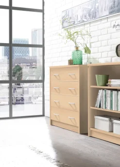 Kombifreundlichen Kommode mit 4 Schubladen