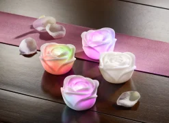 LED-Rosen, 4er-Set