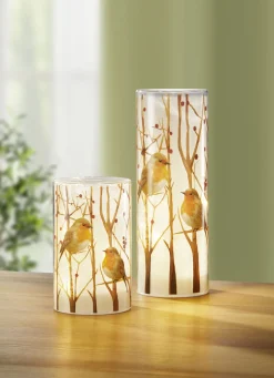 LED-Windlicht mit Rotkehlchen-Motiv, 2er-Set