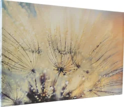 Leinwandbild mit Zertifikat