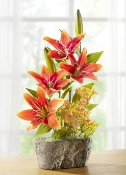 Lilien-Arrangement in Schale aus Zement