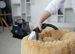 Livington Spot Blast Waschsauger