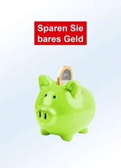 Mobiler und überall einsetzbarer Öl-Radiator