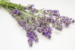 Nackenstützkissen mit Lavendelduft