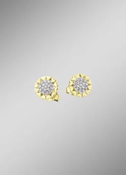 Ohrstecker Gold 585/-