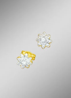 Ohrstecker mit Brillanten und Diamanten