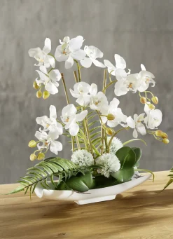 Orchideen-Arrangement in Schale