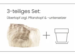 Pflanzenübertopf von Botanyia in edler Naturstein-Optik