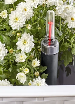 Pflanzkasten in moderner Rattan-Optik