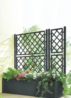 Pflanzkasten mit Spalierwand