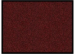 Praktische Schmutzfangmatten für innen und außen