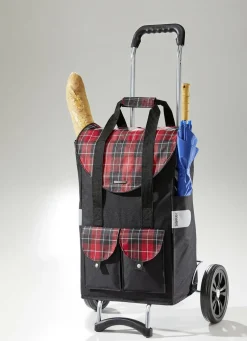 Profi-Einkaufsroller mit extragroßen Rädern