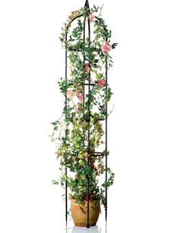 Rankgitter aus schwarz lackiertem Metall