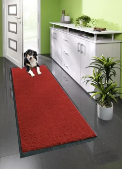 Schmutzfangmatten für innen und außen