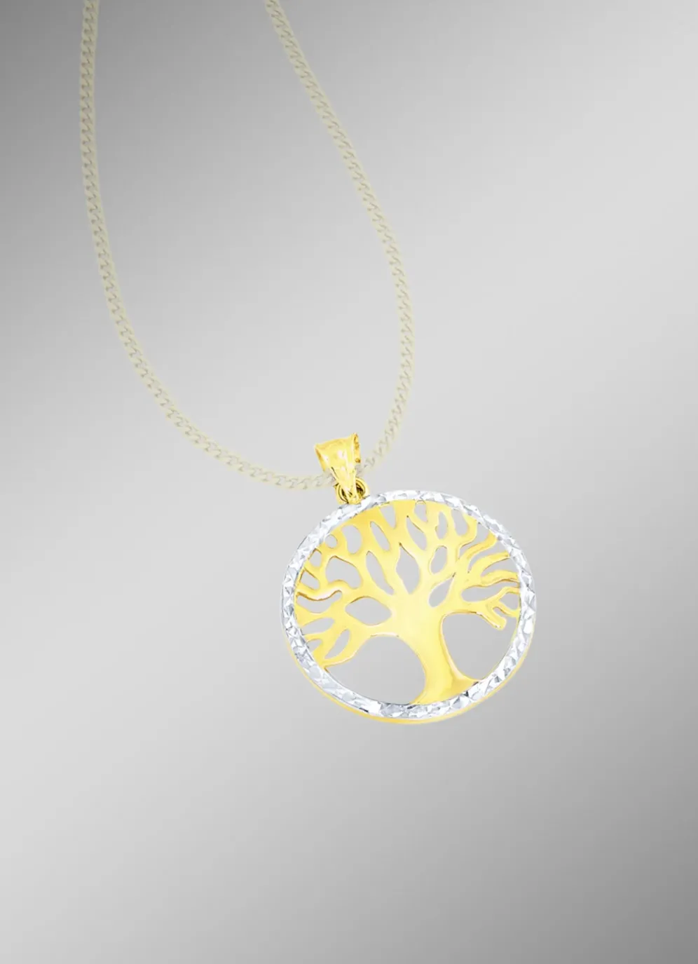 Schöner Anhänger in Bicolor mit diamantiertem Rand