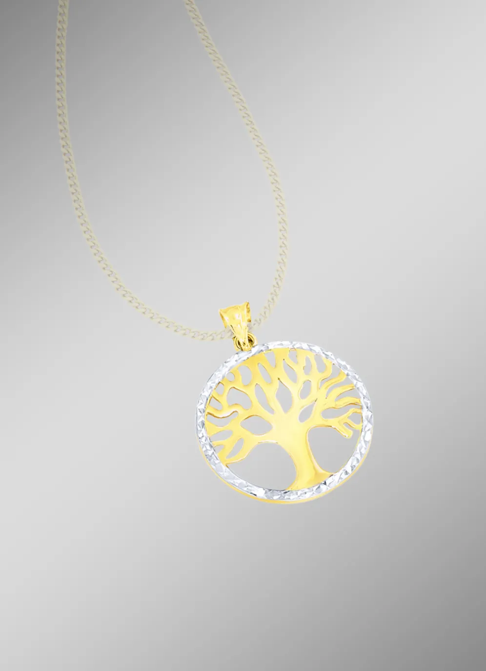 Schöner Anhänger in Bicolor mit diamantiertem Rand