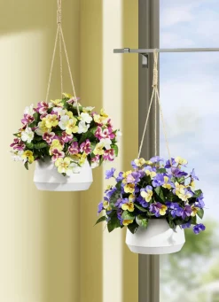 Stiefmütterchen in Hängeampel