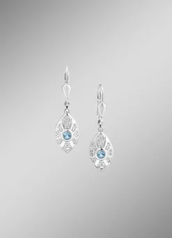 Strahlende Akzente – Exquisite Ohrringe aus Silber