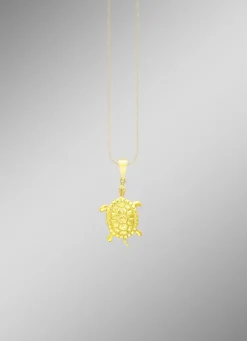 Toller Schildkröten Anhänger