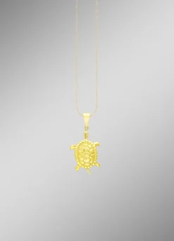 Toller Schildkröten Anhänger