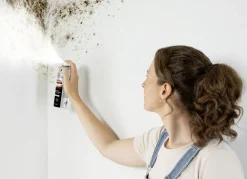 Tonis SCHIMMELSCHOCK 5.1