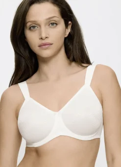 Triumph-Essential Minimizer Bügel-BH