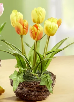 Tulpen im Weidekorb