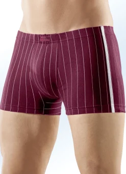 Viererpack Pants, gestreift