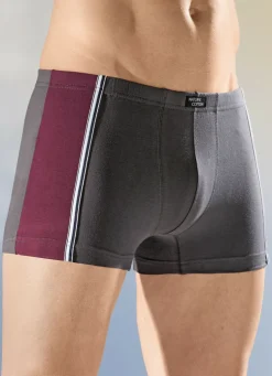 Viererpack Pants mit Dehnbund