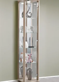 Vitrine, 1-türig, mit LED-Beleuchtung