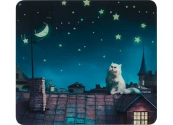 Wandblende aus Glas, Motiv Moon Cat