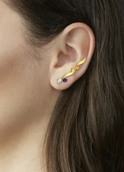 Wunderschöne Ohrhaken