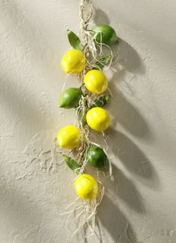 Zitronen-/Limettenzopf zum Hängen